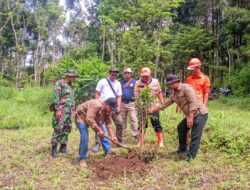 BPBD Tanam 800 Bibit Tanaman di Gunung Brojo