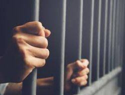 PROF DR KH SUTAN NASOMAL SH,MH : MENGHIMBAU PRESIDEN RI JENDRAL H PRABOWO SUBIANTO AGAR HUKUM SAJA LURAH/KADES BILA TERLIBAT MENJUAL LAUT