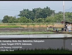 Penanaman Padi di Sawah Ngawu Boto Baturetno oleh Edi Suroso