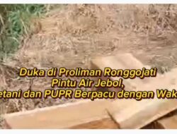 Duka di Proliman Ronggojati: Pintu Air Jebol, Petani dan PUPR Berpacu dengan Waktu