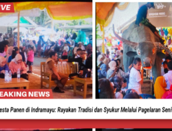 Pesta Panen di Indramayu: Rayakan Tradisi dan Syukur Melalui Pagelaran Seni