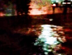 Prof. Dr. Sutan Nasomal Desak Presiden Prabowo Subianto Perintahkan Seluruh Menteri Rumuskan Solusi Banjir di DKI Jakarta