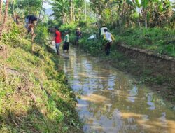 🔥 Petani DI Balong Menyala: Gotong Royong Jaga Irigasi, Jaga Pangan Negeri