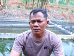 “Bhabinkamtibmas Pekalongan Sukses Budidaya Lele, Raup Omzet Belasan Juta dan Inspirasi Warga”