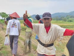 Rehabilitasi Irigasi Tersier di Wonogiri, Wujud Nyata Dukung Ketahanan Pangan Nasional