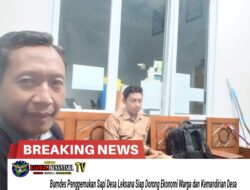 Bumdes Penggemukan Sapi Desa Leksana Siap Dorong Ekonomi Warga dan Kemandirian Desa