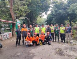 Ranting Pohon Patah Timpa Kabel Listrik di Depan SMKN 1 Kedungwuni, Polisi-BPBD Gerak Cepat Evakuasi
