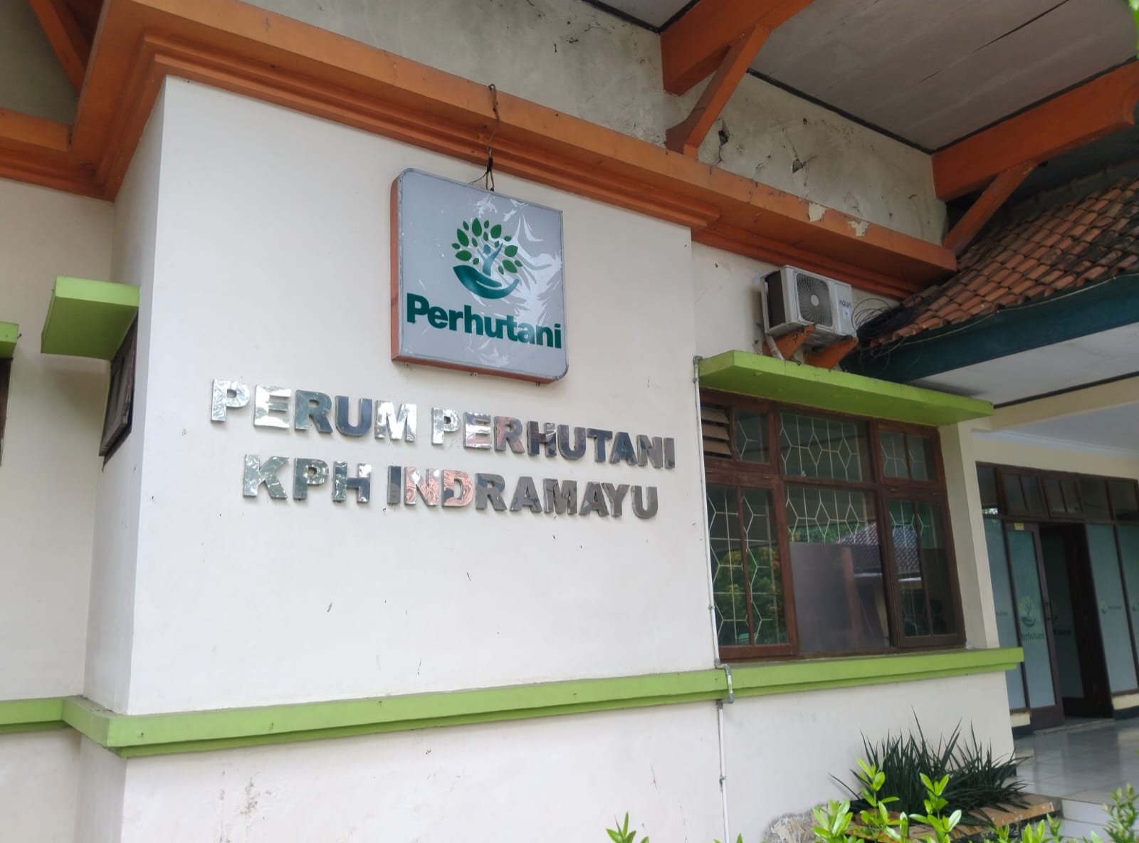 Aroma Kekuasaan di Balik Lahan Perhutani Indramayu: Petani Kecil Tergusur, Siapa Bermain?