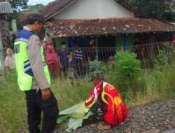 Pria Paruh Baya Tertabrak KA Kamandaka di Perlintasan Petarukan Saat Ambil Mangga Jatuh