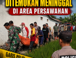 Perangkat Desa Kalipancur Ditemukan Meninggal di Area Persawahan, Polisi Selidiki Penyebab Kematian