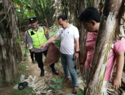 Laporan Sabung Ayam di Kedungwuni Ditindaklanjuti Polisi, Petugas Cek Lokasi dalam Hitungan Menit