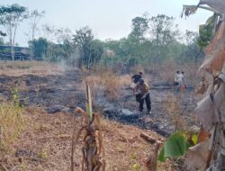 Kebun Terbakar di Kalilembu Karangdadap, Polisi Bersama Warga Sigap Padamkan Api