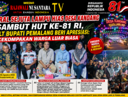 Viral Sejuta Lampu Hias Desa Kandang Sambut HUT ke-81 RI, PLT Bupati Pemalang Beri Apresiasi: Kekompakan Warga Luar Biasa