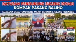 Ratusan Pendukung Sugeng Riyadi Kompak Pasang Baliho, Suasana Desa Temuireng Makin Semarak Jelang Pilkades