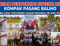 Ratusan Pendukung Sugeng Riyadi Kompak Pasang Baliho, Suasana Desa Temuireng Makin Semarak Jelang Pilkades