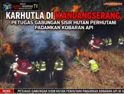 Karhutla di Kandangserang, Petugas Gabungan Sisir Hutan Perhutani Padamkan Kobaran Api