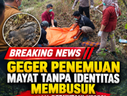 Geger Penemuan Mayat Tanpa Identitas Membusuk di Lahan Perhutani Kesesi Pekalongan