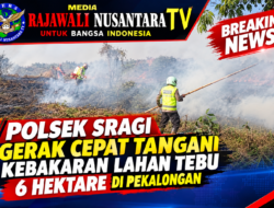 Polsek Sragi Gerak Cepat Tangani Kebakaran Lahan Tebu 6 Hektare di Pekalongan