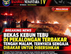 Bekas Kebun Tebu di Pekalongan Terbakar Tengah Malam, Ternyata Sengaja Dibakar untuk Dibersihkan