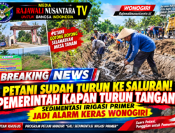 Jaga Urat Nadi Pertanian dan Pilar Utama Ketahanan Pangan Petani Lintas Desa Daerah Irigasi (DI) Balong Turun Tangan SAWERAN Keruk Sedimentasi Irigasi Primer Balong.